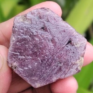 AAA+ Ruby Raw Crystal: Purple Record Keeper Hexagon Stone (438 Carat)