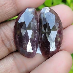 May include: Two faceted, dark purple gemstones with a silver sheen. The gemstones are held in a hand against a green leafy background.