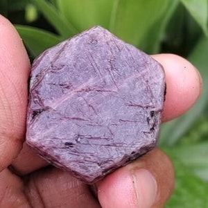 May include: A faceted, dark purple gemstone held in a hand against a backdrop of green foliage. The stone has a rough, textured surface and appears to be a natural mineral specimen. The gemstone's color ranges from deep burgundy to lighter shades.