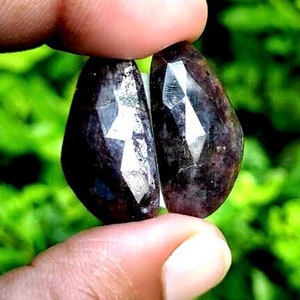 May include: Two dark purple faceted gemstones with a silver sheen, held between two fingers against a green leafy background.