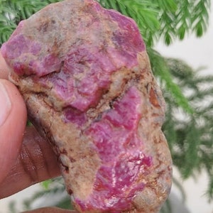 Könnte beinhalten: Ein roher, ungeschliffener Rubin-Edelstein mit tiefrosa-roter Farbe, gehalten in einer Hand. Der Stein hat eine strukturierte Oberfläche mit Bereichen in hellem Braun und dunklerem Rot. Im Hintergrund ist grünes Laub zu sehen.