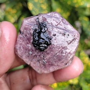 May include: A pink ruby gemstone with black inclusions. The ruby is faceted and has a hexagonal shape.