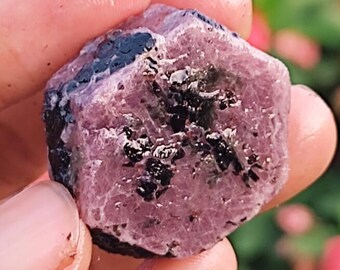 Natural hexagonal ruby specimen from India - with "record keeper" triangles - ct-176