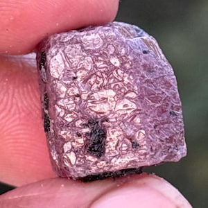 May include: A rough-cut, natural ruby gemstone held between fingers. The ruby has a deep pinkish-red hue with a textured, crystalline surface and small black inclusions. The gemstone is a raw, uncut specimen.