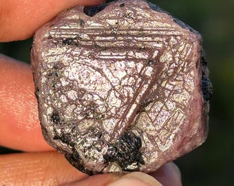 Grand cristal de rubis brut : gardien des archives, géométrie sacrée hexagonale (30 x 30 mm, 182 carats)