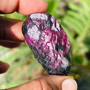 May include: A raw ruby gemstone, held between fingers, displaying a deep red and black hue. The natural stone has a textured surface with areas of lighter, reflective patches. The background is blurred, with green foliage.