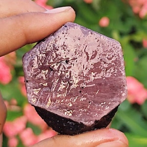 May include: A large, faceted, purple gemstone with a dark purple border. The gemstone is held in a hand, with a blurred background of pink and green foliage.