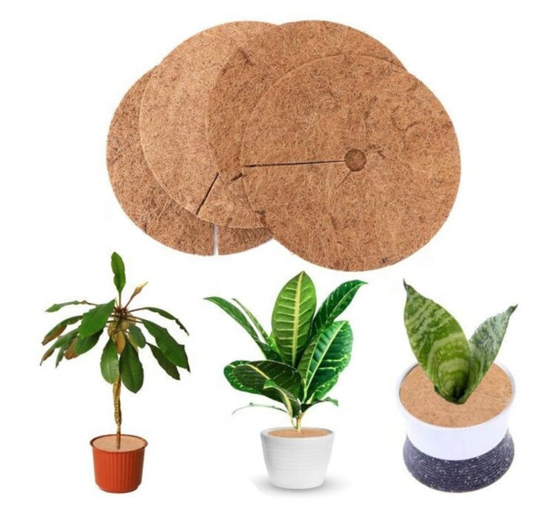 Coir Weed Mat Coconut Coir Mulch Mat set of 5 Etsy UK