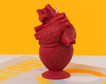 Heart Candle / Real Heart Candle / Human Heart Organ / Life Sized Realistic Heart Candle / Anatomical Heart Shaped Candle / Human Anatomy