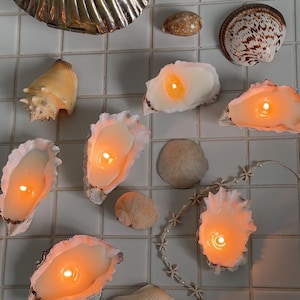 May include: A collection of seashell-themed items, including a silver shell-shaped purse, various seashells, and candles set in oyster shells. A beaded starfish necklace and a white seashell are also present. The candles are lit, emitting a warm glow.