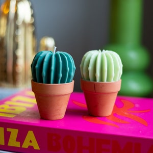 Cactus Candle / Cacti Candle / Succulent Candle / Plant Candle / Adorable Candle / Cute Candle