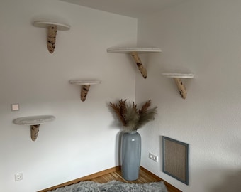Muro de escalada para gatos / muro para gatos
