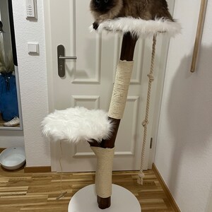 Scratching post natural wood cat tree natural image 10