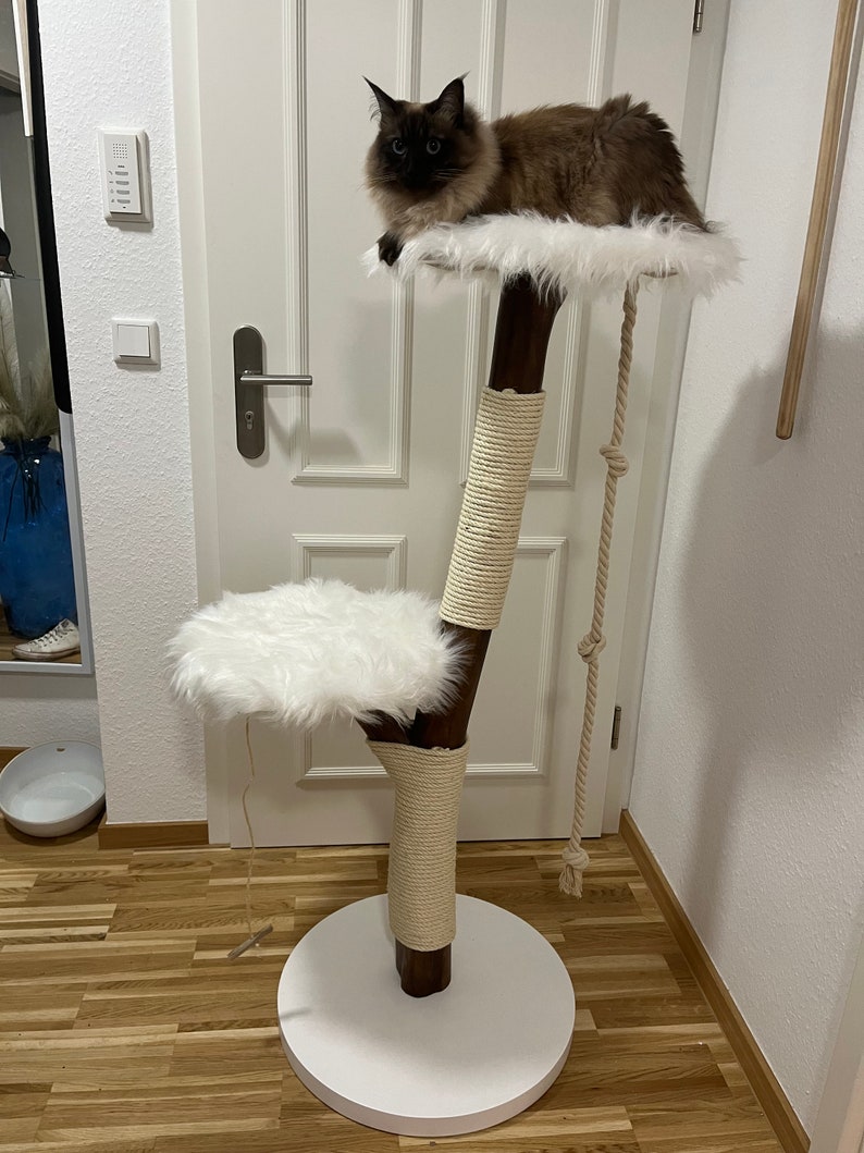 Scratching post natural wood cat tree natural image 10