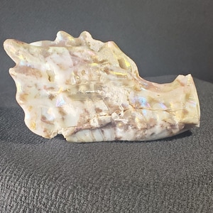 Aura Saphalerite Dragon Heads
