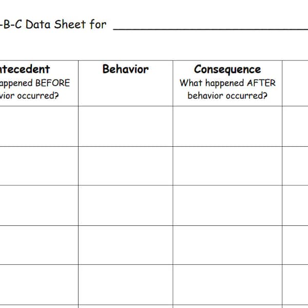 Abc Data Sheet - Etsy