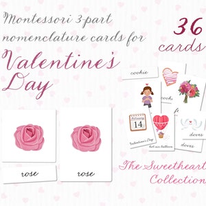 Valentine's Day Montessori-Aligned 36 Nomenclature 3 Part Cards, Memory Game Watercolor Flashcards, Kids Vocabulary Preschool Homeschool