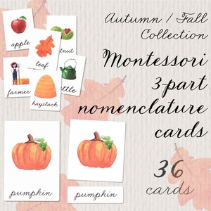 Autumn/Fall Themed Montessori 36 Nomenclature 3 Part Cards Memory Game Watercolor Flashcards, Kids Vocabulary Preschool Homeschool