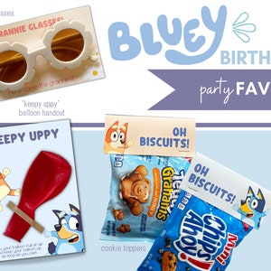 Bluey Party Supplies 