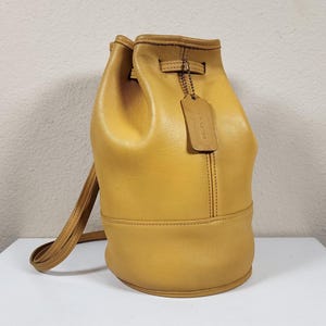 Vintage Coach Bixby Sling - Etsy