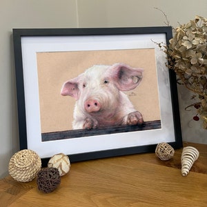 Premium Coloured Pencil Piggy Portrait | Josh_Harris_Illustration Original Artwork/Prints/ Merchandise | Animal Gift | Wildlife Present
