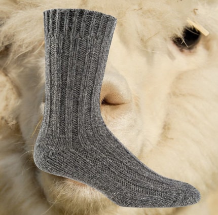Paires chaussettes d'hiver épaisse en laine d'Alpaga Uni (x24) - Grossiste  France - Grossiste en ligne