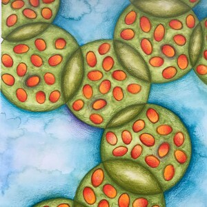 Cactus originale dipinto a mano, sfumato con penna acquerellabile e matite - Spedizione gratuita nel Regno Unito