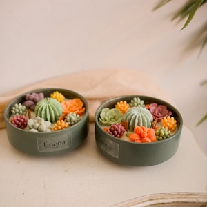 Cactus Scented Candle, Soy Wax Cactus Candle, Handmade Soy Wax Candle, Home Décor ,Scented candle, Homemade candles ,Housewarming gift.