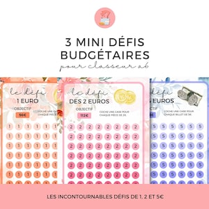Set of 3 Mini Budget Challenges for A6 Budget Binder in French | PDF Download | to print and laminate