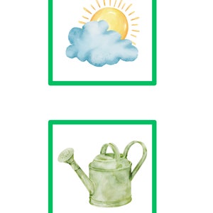 Educational dice cards