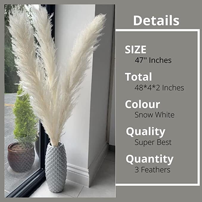 Pampas Grass Decor Tall 3 Stems of Tall Pampas Grass - Etsy