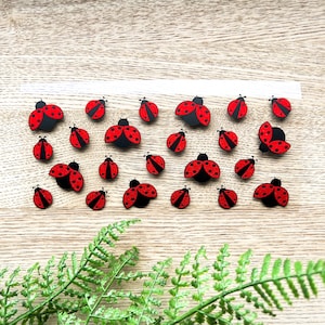 May include: A selection of small, red and black ladybird-shaped embellishments. The ladybirds have red wings with black spots and black bodies. They are arranged on a light wood-grain surface, with green fern leaves in the lower corner.