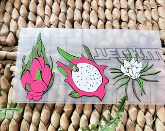 Dragon Fruit Pitaya Vinyl Stickers, Tropical Fruit Decals, Water Bottle Laptop Decor