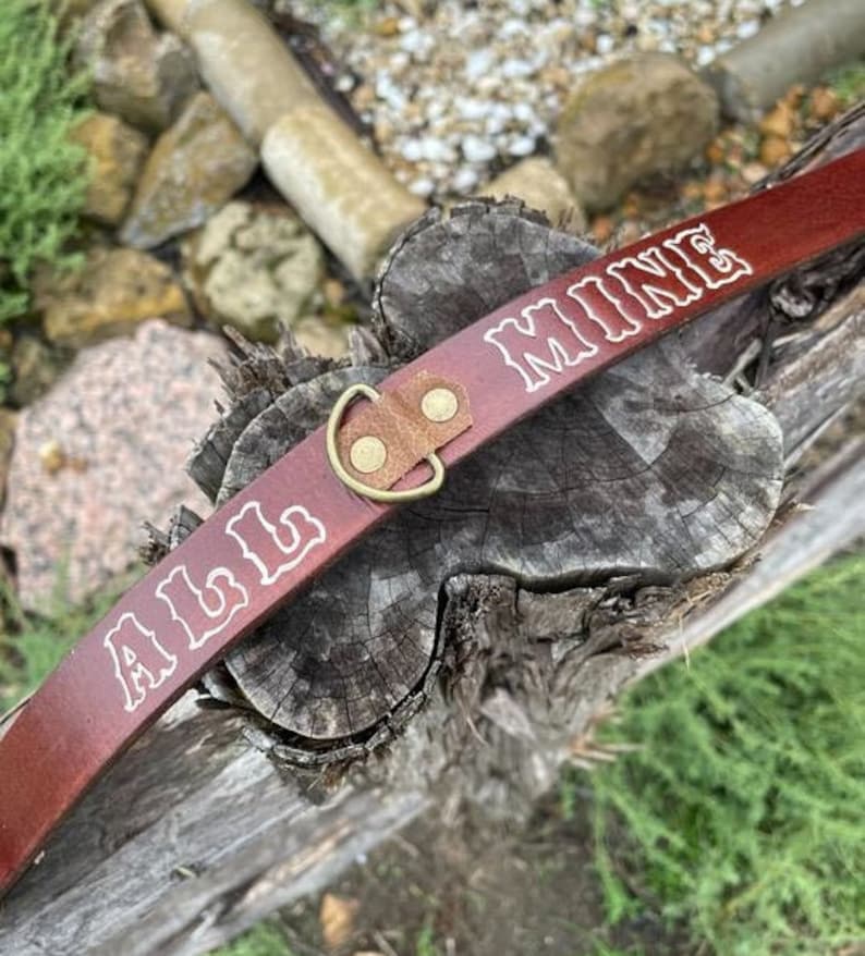 CUSTOMIZABLE - Brown/Black Leather Collar bild 3