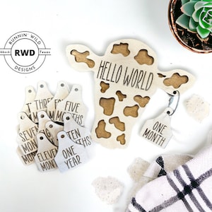Monthly Milestone Markers Set | Baby Milestone Cards | Newborn Photography Props | Baby Shower Gift Idea