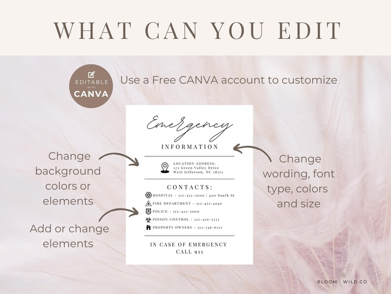 Emergency Contact Sign, Emergency Phone Numbers, Airbnb Emergency Information Sign, Editable Template Canva Emergency Contacts, Just in Case image 6