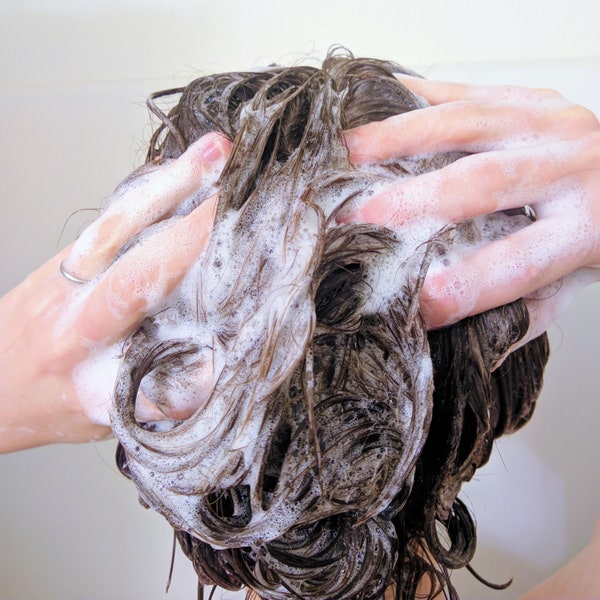 Solid Shampoo Bar Etsy