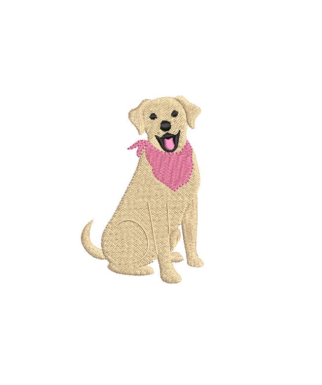 Labrador with bandana top