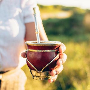 Mate Camionero Criollo w/Base|Gourd Mate Cup | Alpaca Silver Rim | Traditional South American Yerba Mate |Calabash | Free Bombilla