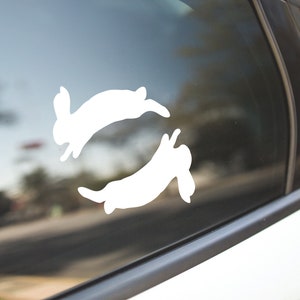 Bunnies Decal Sticker For Cars, Laptops, Tumblers, Walls, Phones, trendy, bumper sticker, Styles, funny sticker, girly decal, LOT, pop music