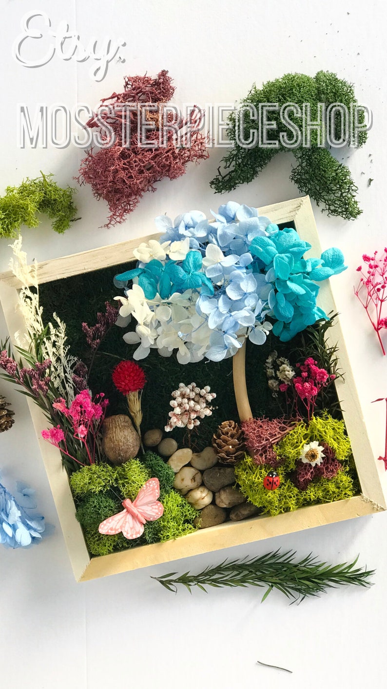 Craft Kit For Teens DIY Art Gift Set For Teenagers DIY Craft Therapy Box Frame Moss Art Flores Design Art Crafts Nature Inspired Room Decor