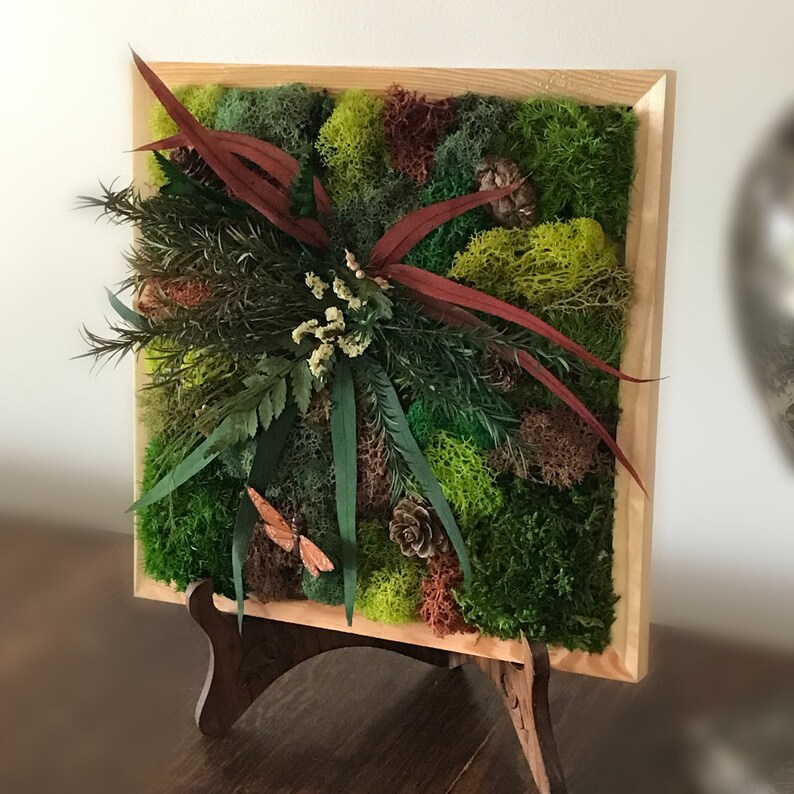 Moss Garden Kit Moss Wall Art Kit DIY Craft Gift for Women Etsy