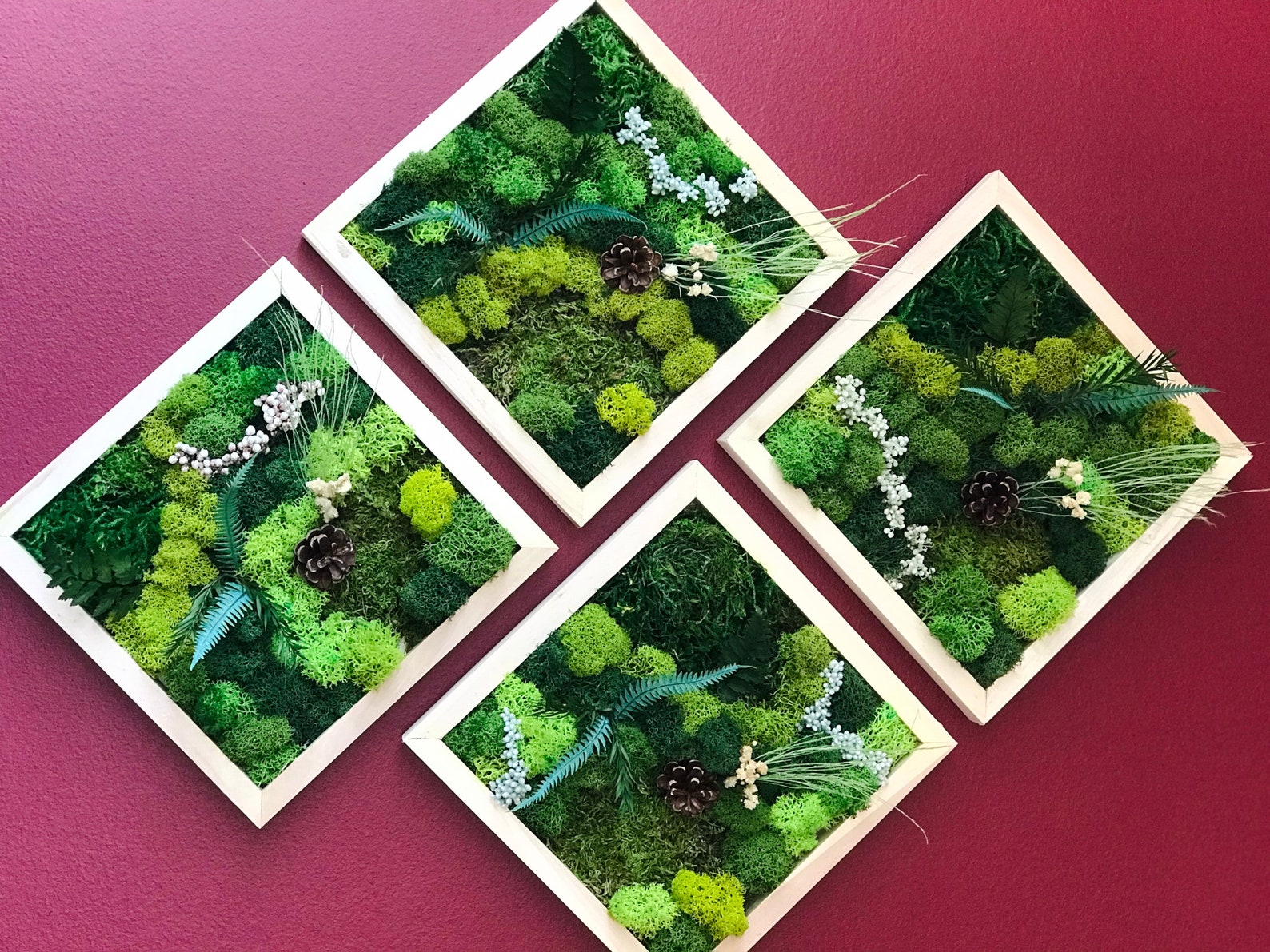 Moss Wall Art Kit 4 Piece Living Wall Kit DIY Moss Art Décor Etsy