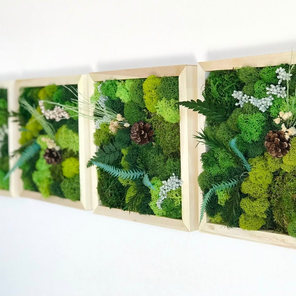 Moss Art Etsy