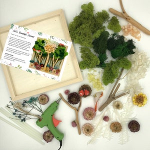 Craft Gift For Teens Craft Kit For Teens DIY Art Kit Teenager Craft Kit Frame Teen Activity Set Nature Art Preserved Moss DIY Room Decor Kit