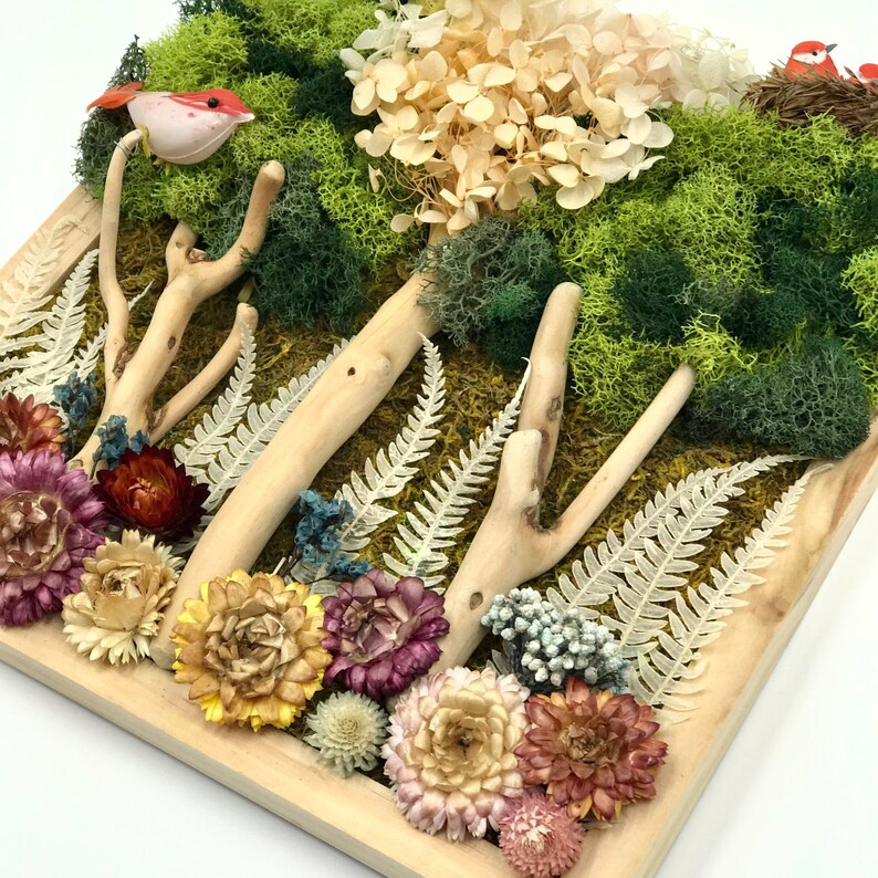 Craft Gift For Teens Craft Kit For Teens DIY Art Kit Teenager Craft Kit Frame Teen Activity Set Nature Art Preserved Moss DIY Room Decor Kit