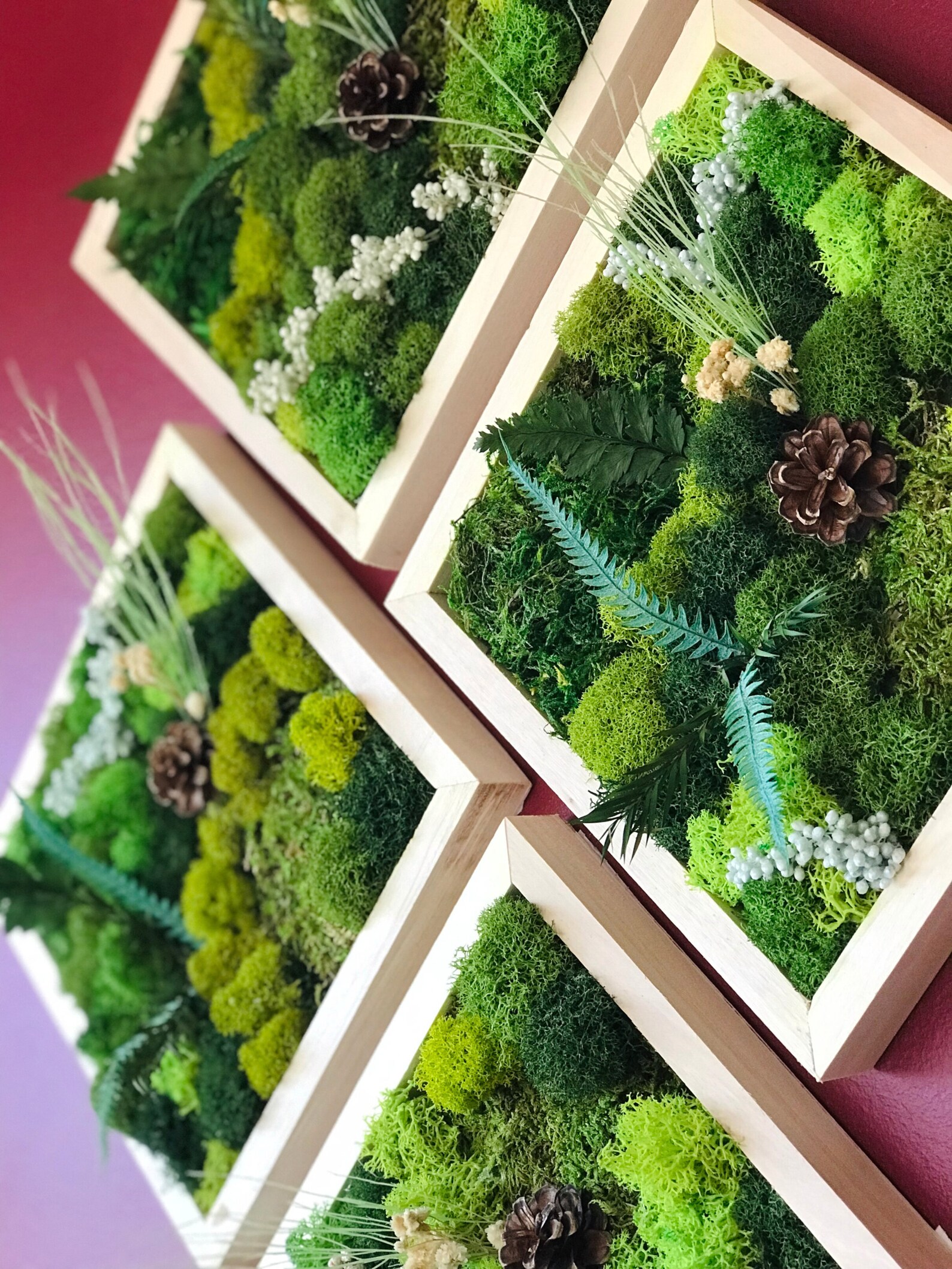 Moss Wall Art Kit 4 Piece Living Wall Kit DIY Moss Art Décor Etsy