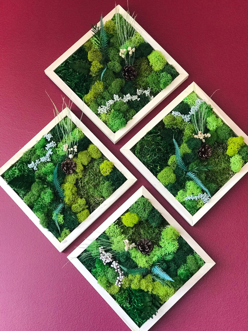 Moss Wall Art Kit 4 Piece Living Wall Kit DIY Moss Art Décor Etsy