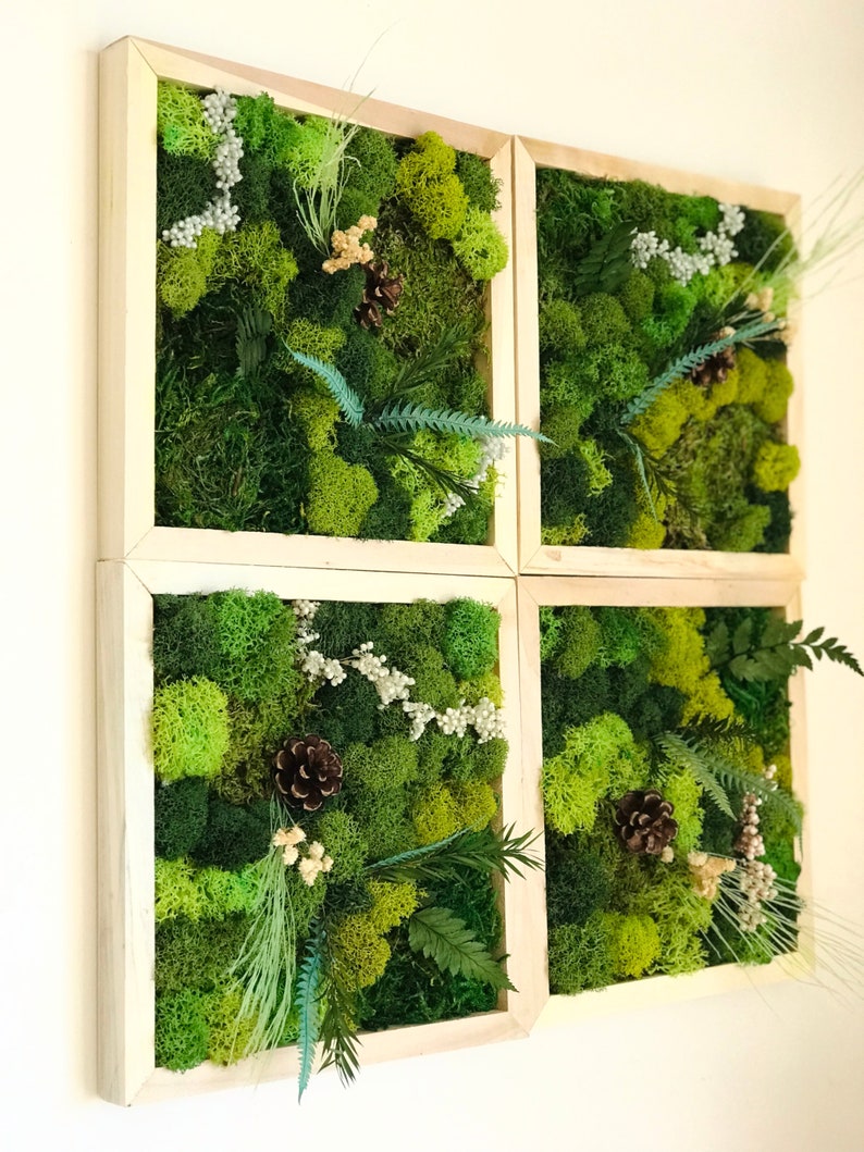 Moss Wall Art Kit 4 Piece Living Wall Kit DIY Moss Art Décor Etsy