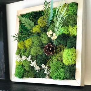 Craft Kit Gift DIY Moss Wall Art Kit DIY Craft Kit Instructions DIY Room Décor Craft Adult Christmas Holiday Craft Kit For Women Art Craft